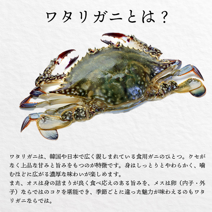 ワタリガニとは