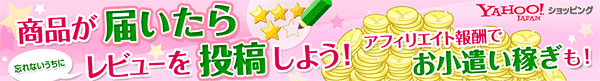 レビューを書いておこづかいゲット！