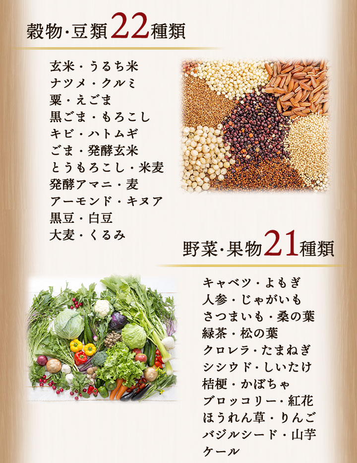 禅食 置き換え ダイエット