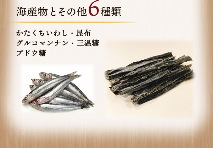 禅食 置き換え ダイエット