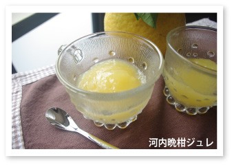 賞味期限2026年4月10日】愛媛産河内晩柑ジュース6本 ストレート果汁