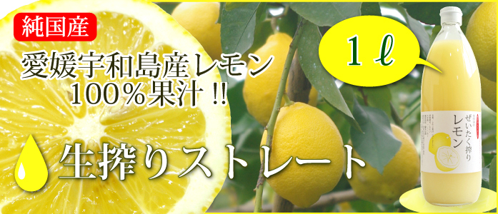 新搾り！愛媛産レモン果汁1本 ストレート果汁1000ml : lemonjuice1000 