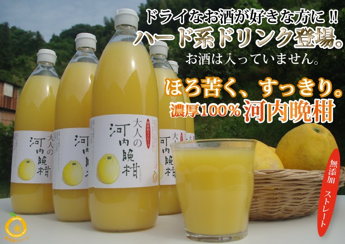 賞味期限2026年4月10日】愛媛産河内晩柑ジュース6本 ストレート