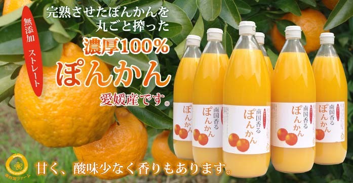 愛媛産ポンカンジュース6本 ストレート果汁1000ml x6本 : きなはいや