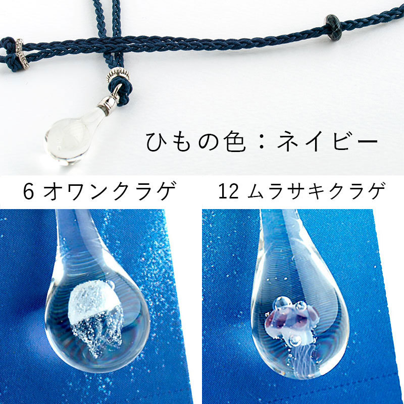 オワンクラゲ・ムラサキクラゲ