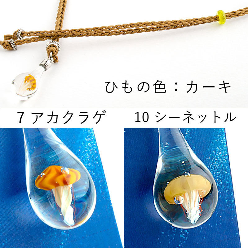 アカクラゲ・シーネットル