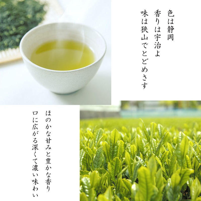 狭山茶 煎茶 100g おざわ園 お茶 狭山 煎茶 緑茶 日本茶 茶葉 来客用 インフルエンザ対策 母の日 父の日 ギフト プレゼント