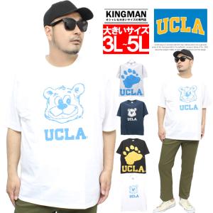 UCLA ユーシーエルエー 半袖 Tシャツ メンズ 大きいサイズ ロゴ クマ プリント クルーネック...