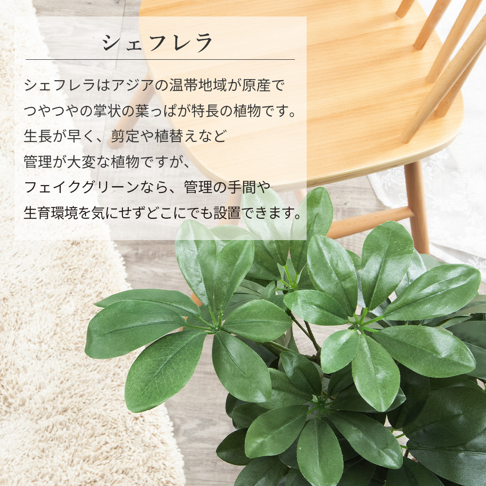 人工観葉植物 シェフレラ 造花 フェイクグリーン インテリア 雑貨 6号