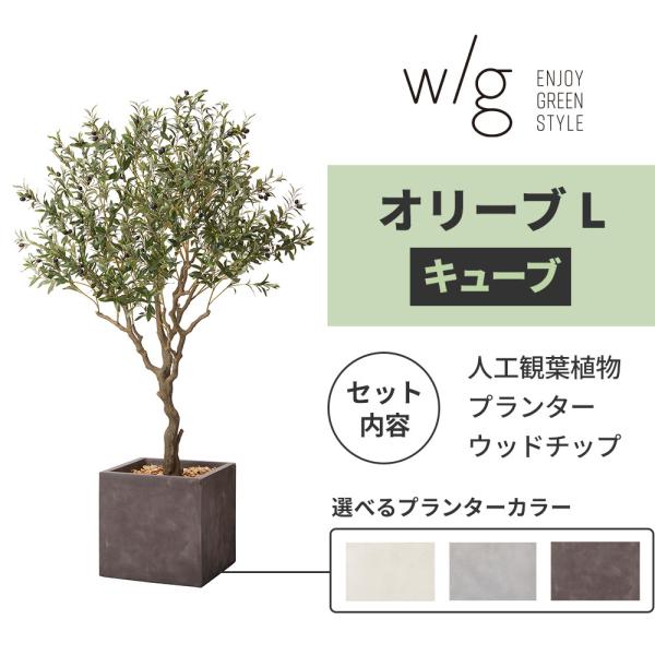 観葉植物 大型 オリーブの木 鉢カバー セット 高品質 アーティ