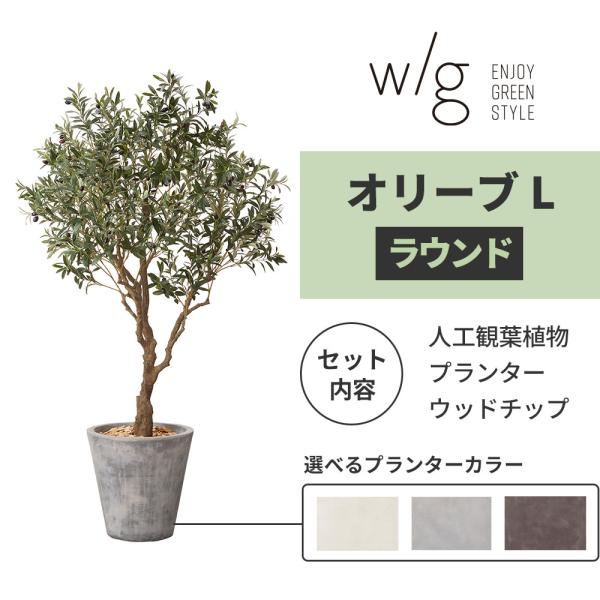 観葉植物 大型 オリーブの木 鉢カバー セット 高品質 アーティ