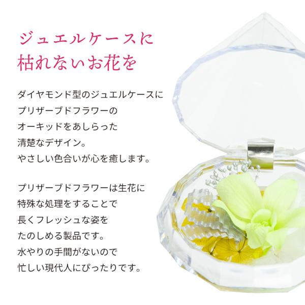 プリザーブドフラワー ミニ 仏花 供花 お供え 小さめ 仏壇用 法事 彼岸 四十九日 お盆 コンパクト 洋蘭 ペット 手元供養 祭壇 アレンジ 枯れない おしゃれ Jtxdindnuc Pizzerialarossa It