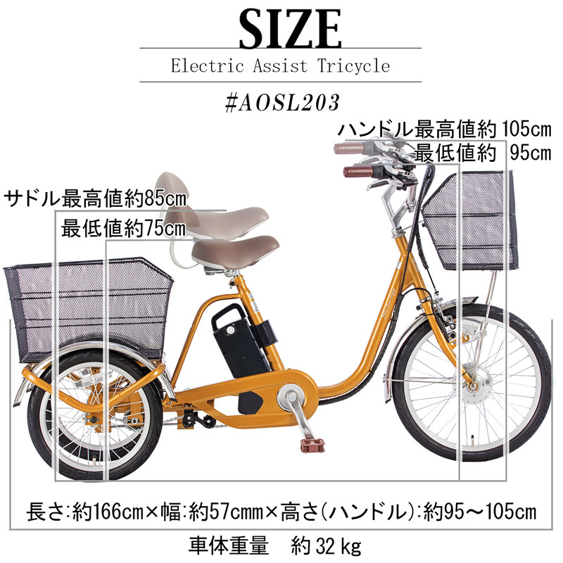 21Technology 3年間の無料補償付 三輪車 電動三輪車 電動三輪自転車