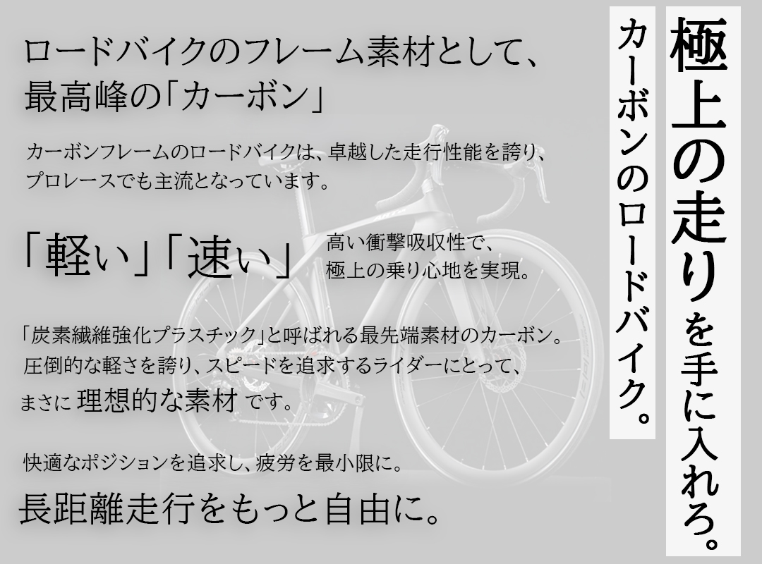 21Technology ロードバイク カーボンフレーム(東レ炭素繊維複合材料