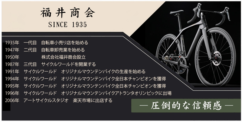21Technology ロードバイク カーボンフレーム(東レ炭素繊維複合材料