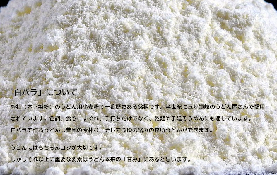 「白バラ」について：弊社（木下製粉）のうどん用小麦粉で一番歴史ある銘柄です。半世紀に亘り讃岐のうどん屋さんで愛用されています。色調、食感にすぐれ、手打ちだけでなく、乾麺や手延そうめんにも適しています。白バラで作るうどんは昔風の素朴な、そしてつゆの絡みの良いうどんができます。うどんにはもちろんコシが大切です。しかしそれ以上に重要な要素はうどん本来の「甘み」にあると思います。