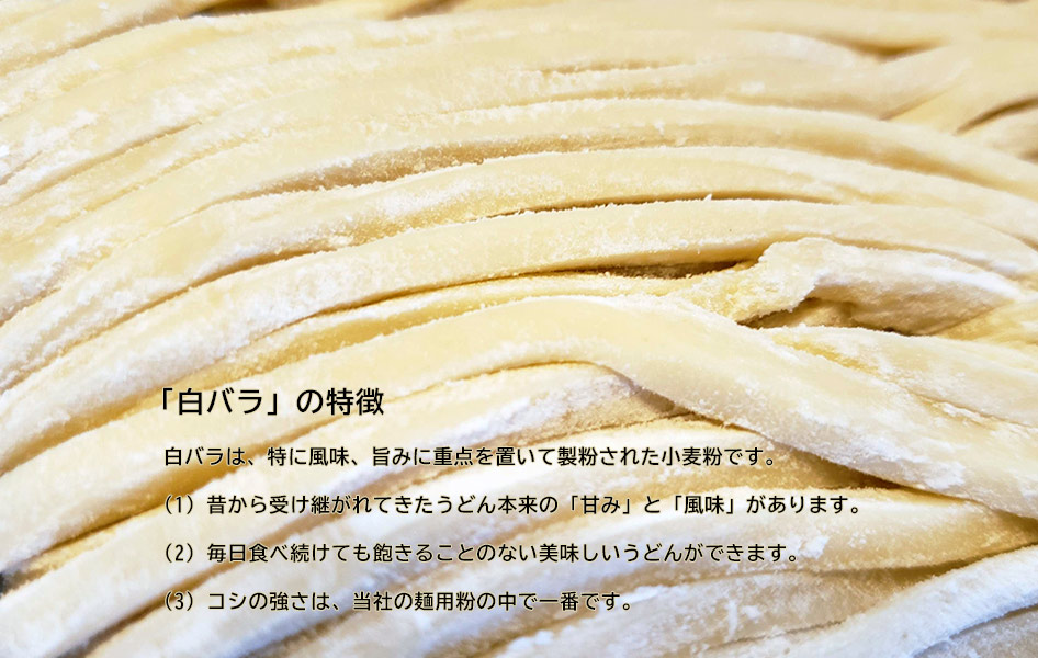 「白バラ」の特徴：白バラは、特に風味、旨みに重点を置いて製粉された小麦粉です。(1) 昔から受け継がれてきたうどん本来の「甘み」と「風味」があります。(2) 毎日食べ続けても飽きることのない美味しいうどんができます。(3) コシの強さは、当社の麺用粉の中で一番です。