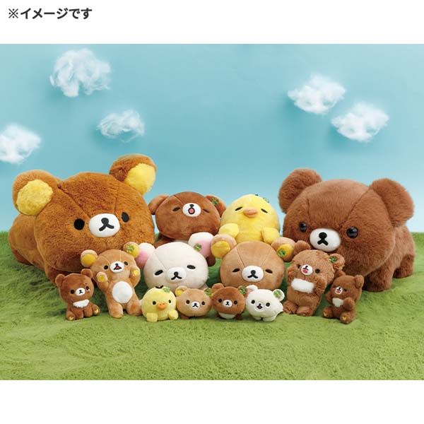 San-X リラックマ「チャイロイコグマのくまきゅんDays／ぬいぐるみ(M