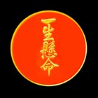 一生懸命