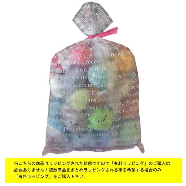 すみっコぐらし　てのり人形　値引き不可！セット売りのみ！迅速発送！ San-X（サンエックス） すみっコぐらし「てのりぬいぐるみ定番全部