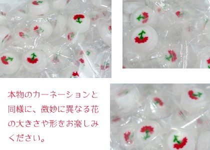 カーネーションキャンディ50個入り　母の日ギフト スイーツ プレゼント 通販 お菓子 - 9