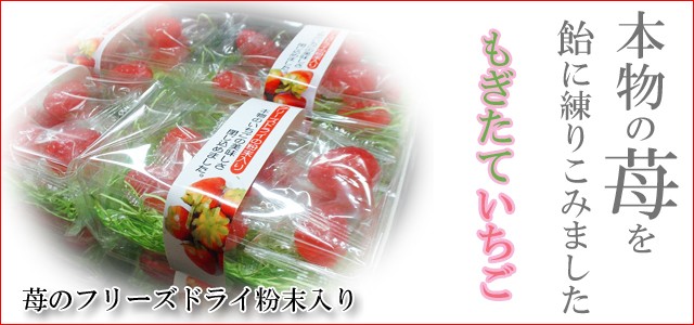 ラッピング済み　もぎたていちご　お世話になりましたシール付き - 12
