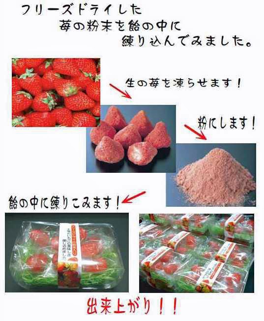 ラッピング済み　もぎたていちご　お世話になりましたシール付き - 13