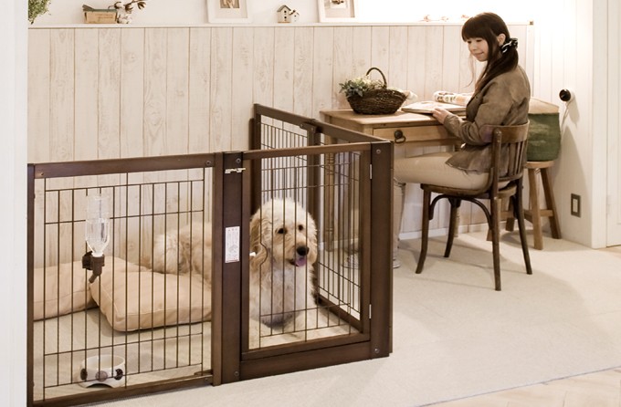 Kiinus（キーヌス） [コーナーゲートF80XLメッシュ] ペットゲート 犬用