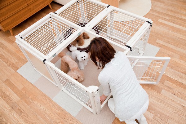 サークルルーフXLメッシュタイプ