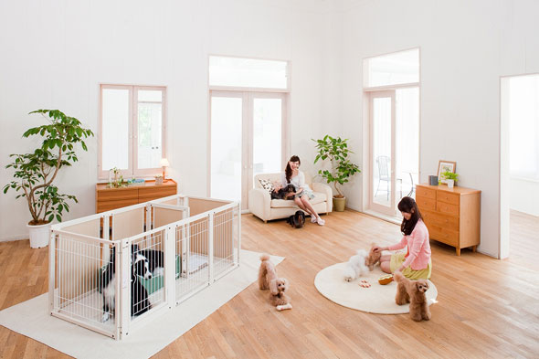 Kiinus（キーヌス） [サークルプラスF80Lpメッシュ] ペットサークル 犬