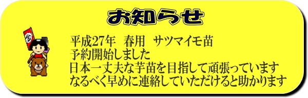 2024年度春 予約受付中 クイックスイート苗 １０本 予約受付中 PVP登録