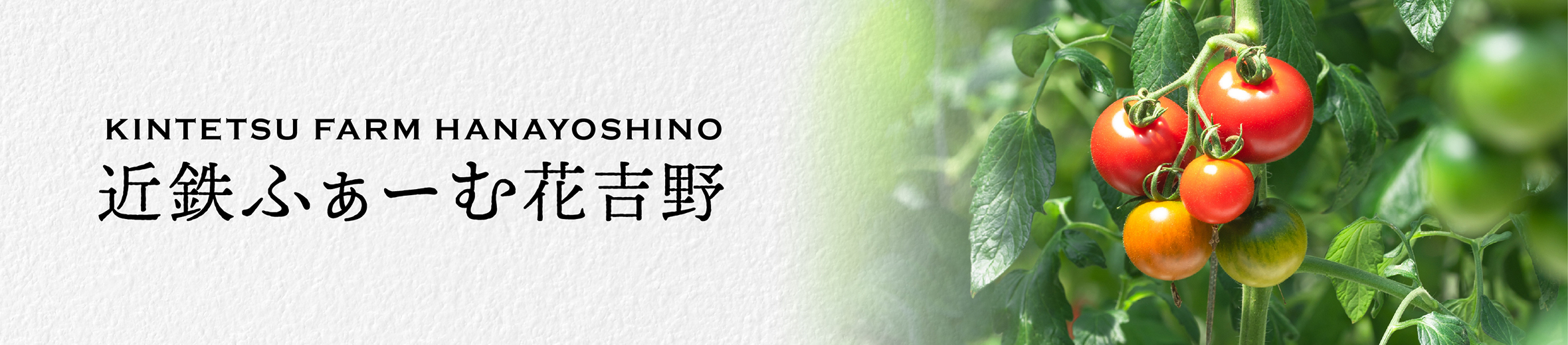 近鉄ふぁーむ ヘッダー画像