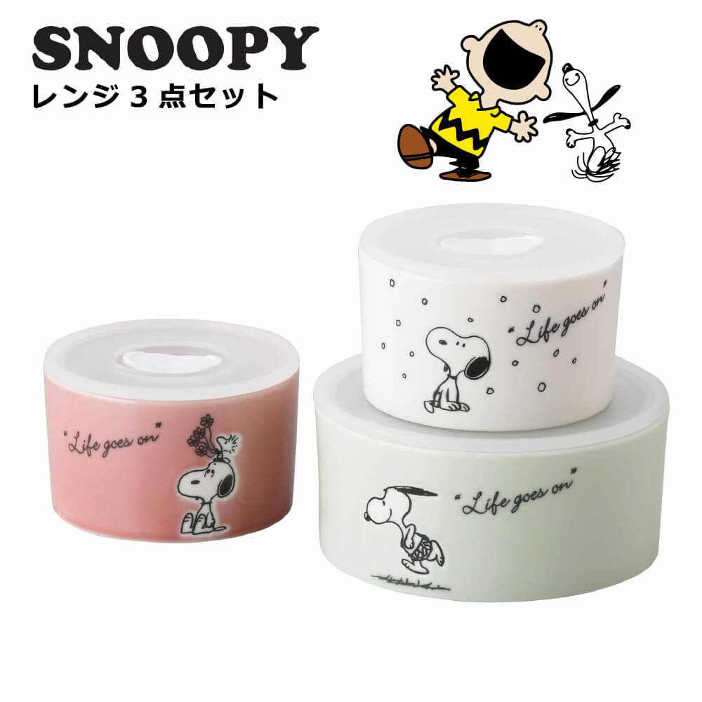 スヌーピー 食器セット 結婚祝い 誕生日 プレゼント 2023 おしゃれ レンジ保存容器 3点セット :SN610-82-3:うつわのお店 たたら  通販 