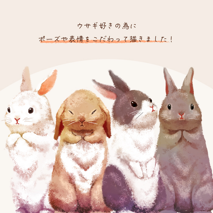 ウサギ スマホケース AQUOS Xx2 mini 503SH ケース 手帳型 アニマル 動物 癒し系 カバー｜kintsu｜12