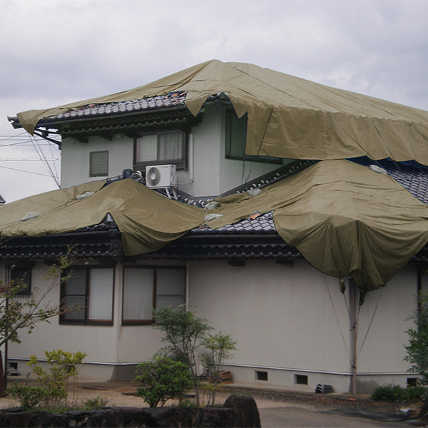 萩原工業 ターピー 防災・減災シート#3000 5.4m×7.2m 日本製 国産 防水