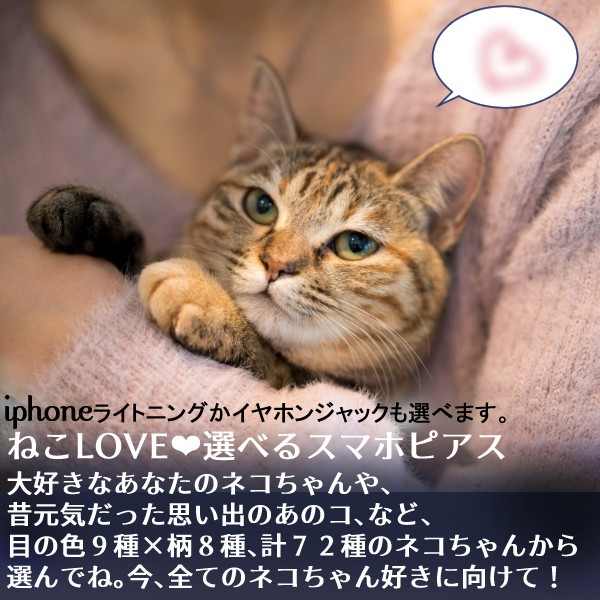 猫 ねこ 可愛い ネコ iphone ライトニング コネクター イヤホン