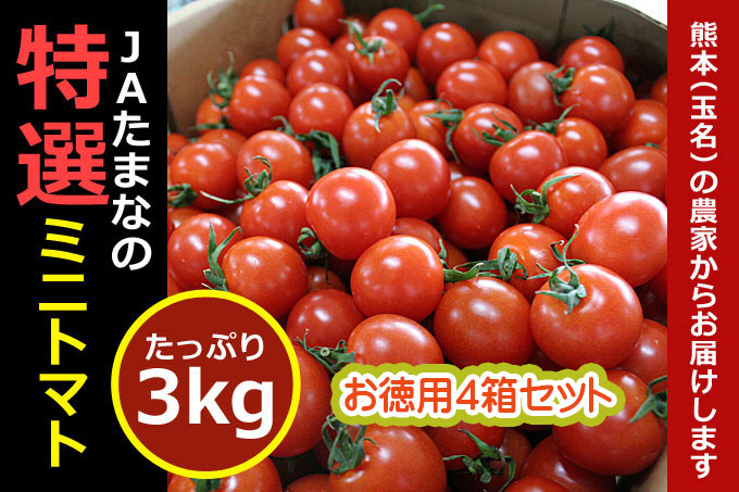 ミニトマト（セット販売4箱）送料無料☆九州・熊本県ＪＡ玉名の名産です。 :1-204:きらめきたまな - 通販 - Yahoo!ショッピング