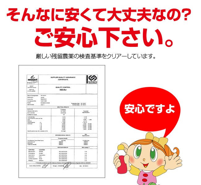 売れてます！『ルイボスティー☆エクセレント』ティーバッグ100包