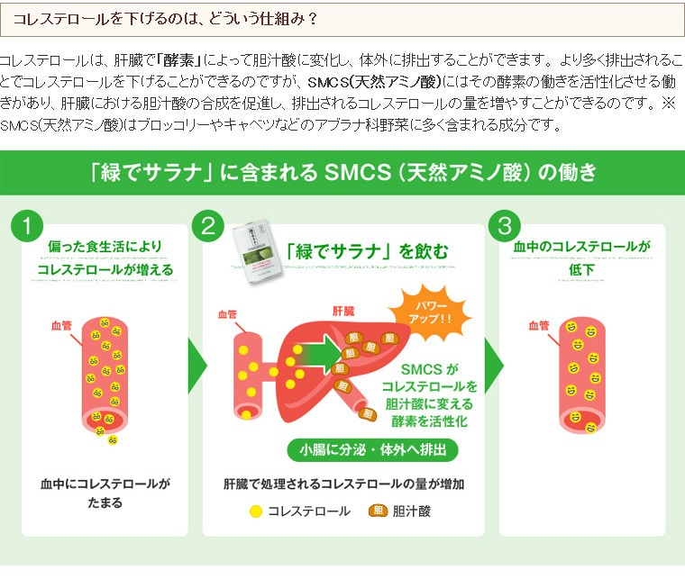 コレステロールを下げる仕組み