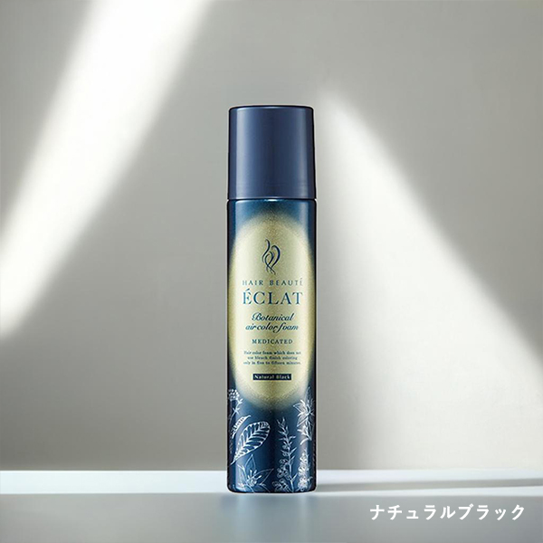 ヘアボーテHAIR BEAUTE ÉCLAT 白髪染め 2本セット ヘアボーテHAIR BEAUTE ÉCLAT 白髪染め 2本セット