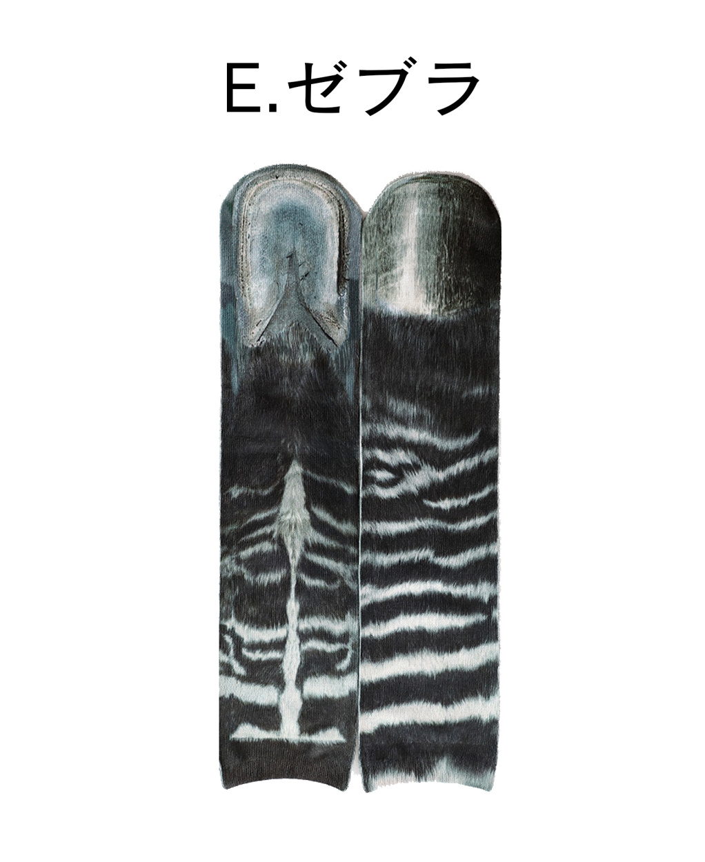 sapeur アニマル柄　ソックス　新品未使用品 3coins（3coins）の「アニマル柄ソックス（ソックス/靴下）」 - WEAR