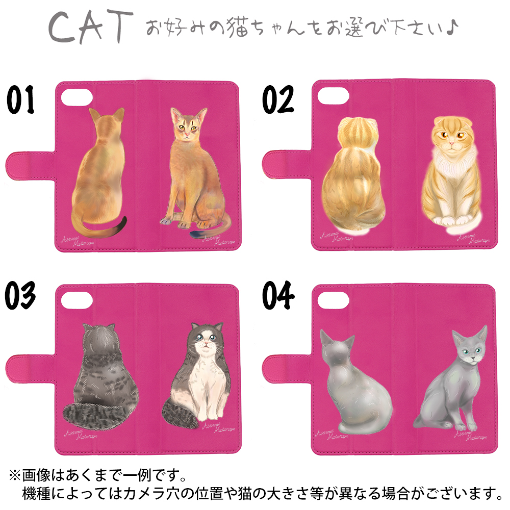 kirei-net_hard-clear-sougara-