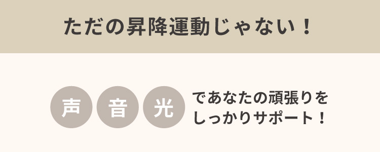 自宅で健康 エールステッパー