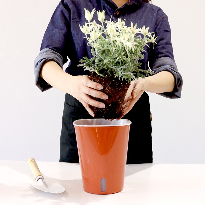 植木鉢（未使用品） カラフル 植木鉢・鉢受けセット （3号・4号・5号 8カラー）セラミック