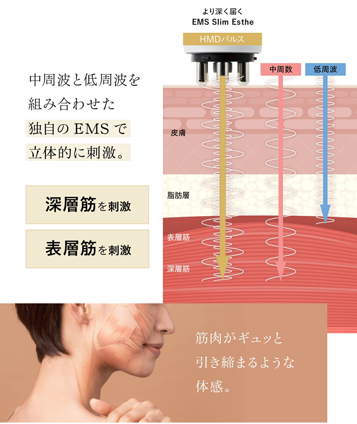 WAVEWAVE スリムエステ ems 赤色led マッサージ 美容 器具 痩身 美顔器
