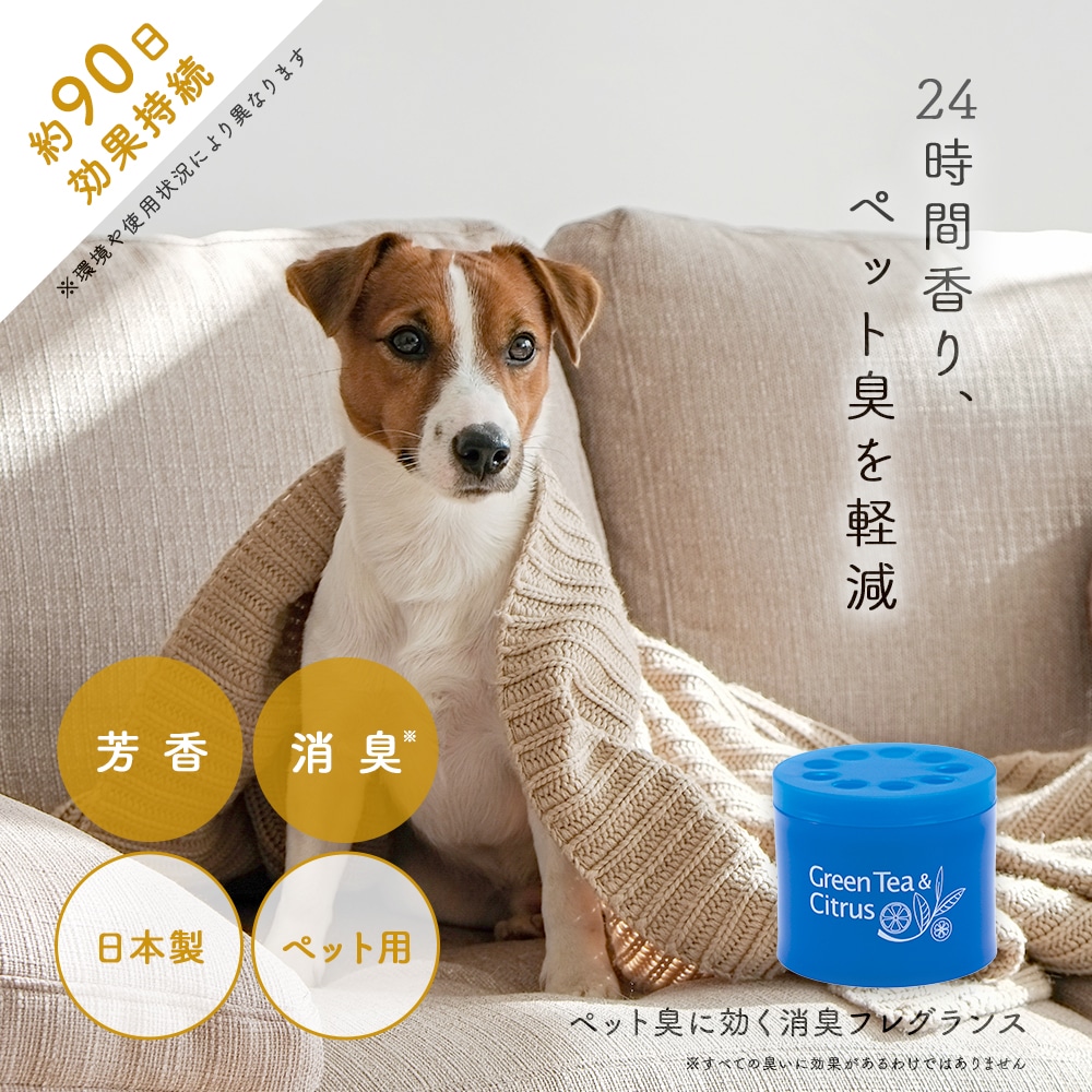 安い ペット 室内犬 臭い