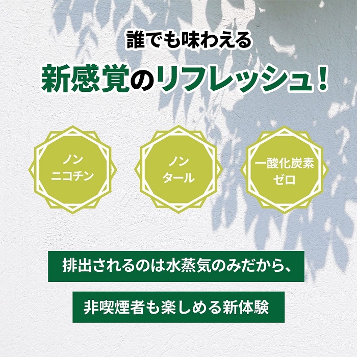 5%クーポン 正規販売店 ポケット シーシャ 選べる3個セット 持ち運び