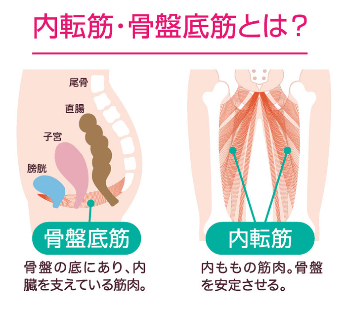 骨盤底筋ゲルクッション