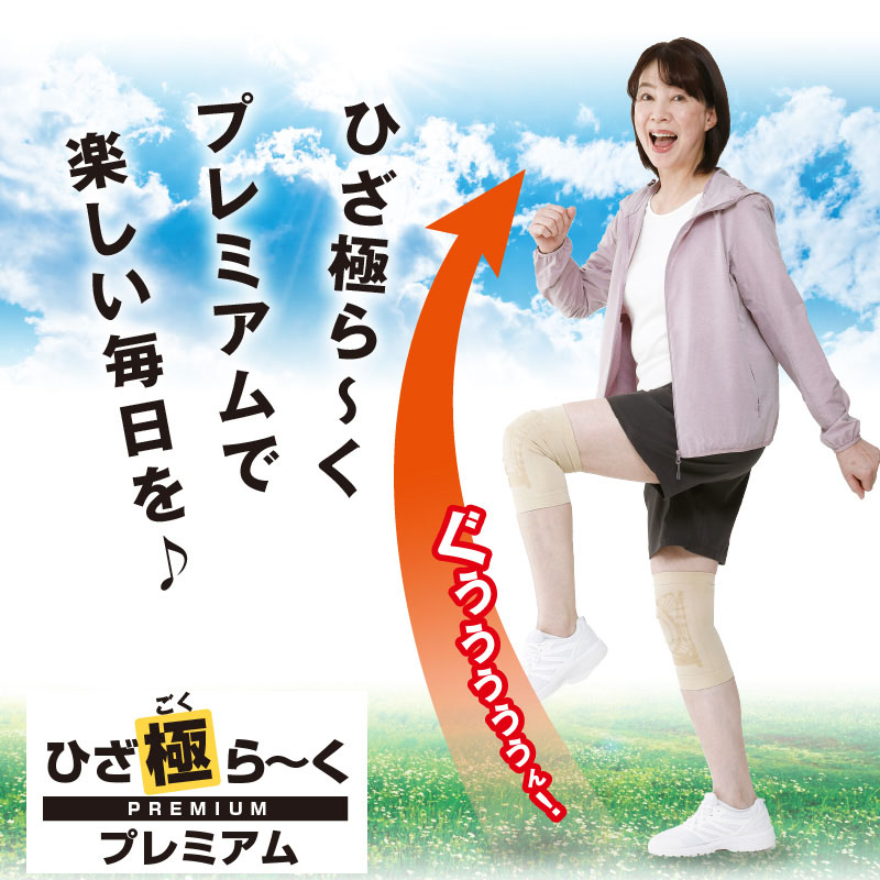 ひざの痛み DVD 2枚組 これ1冊！ 「ひざの痛み」 – PHP研究所 公式通販