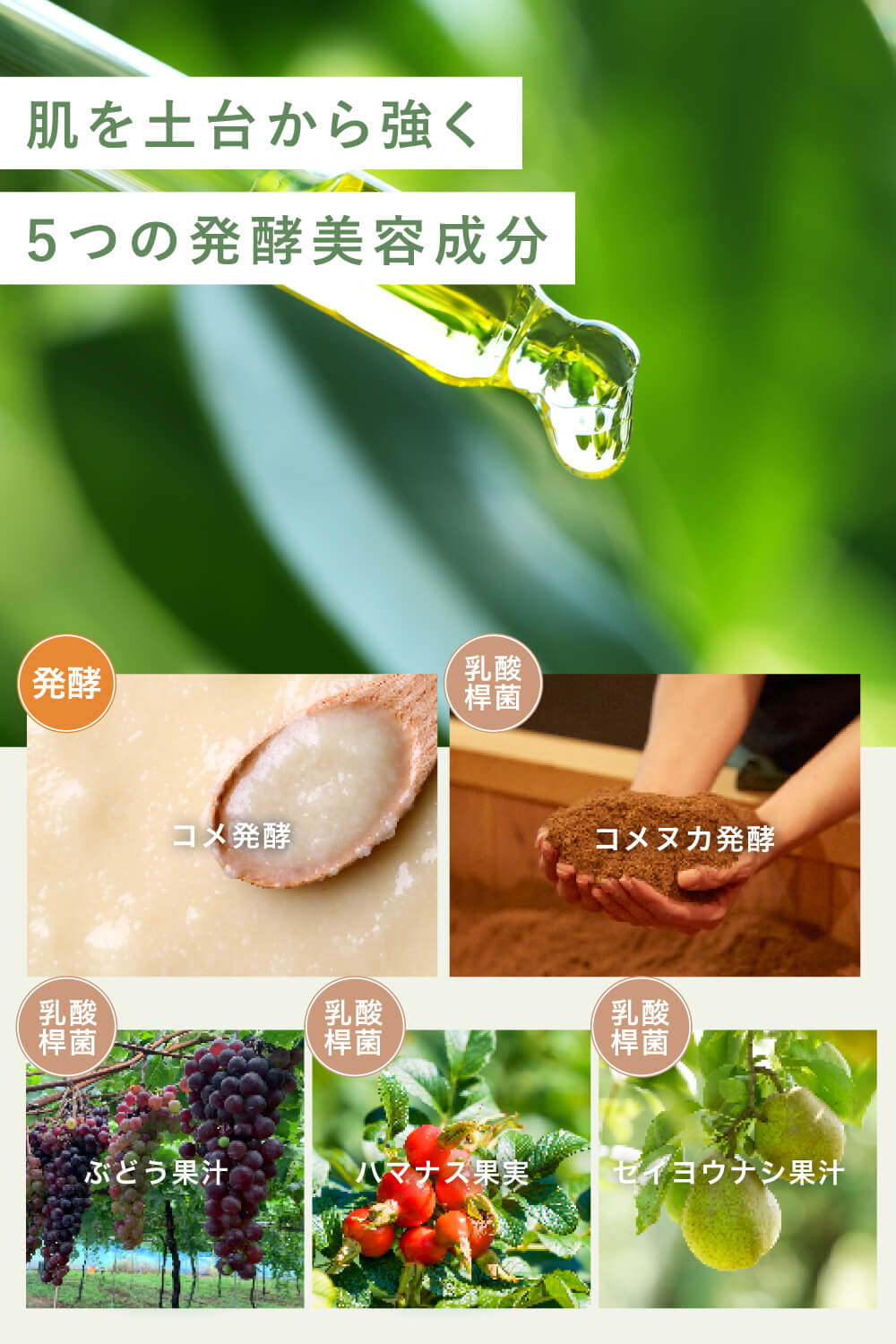 キレイな洗顔を届ける生石〓プラセンタ洗顔